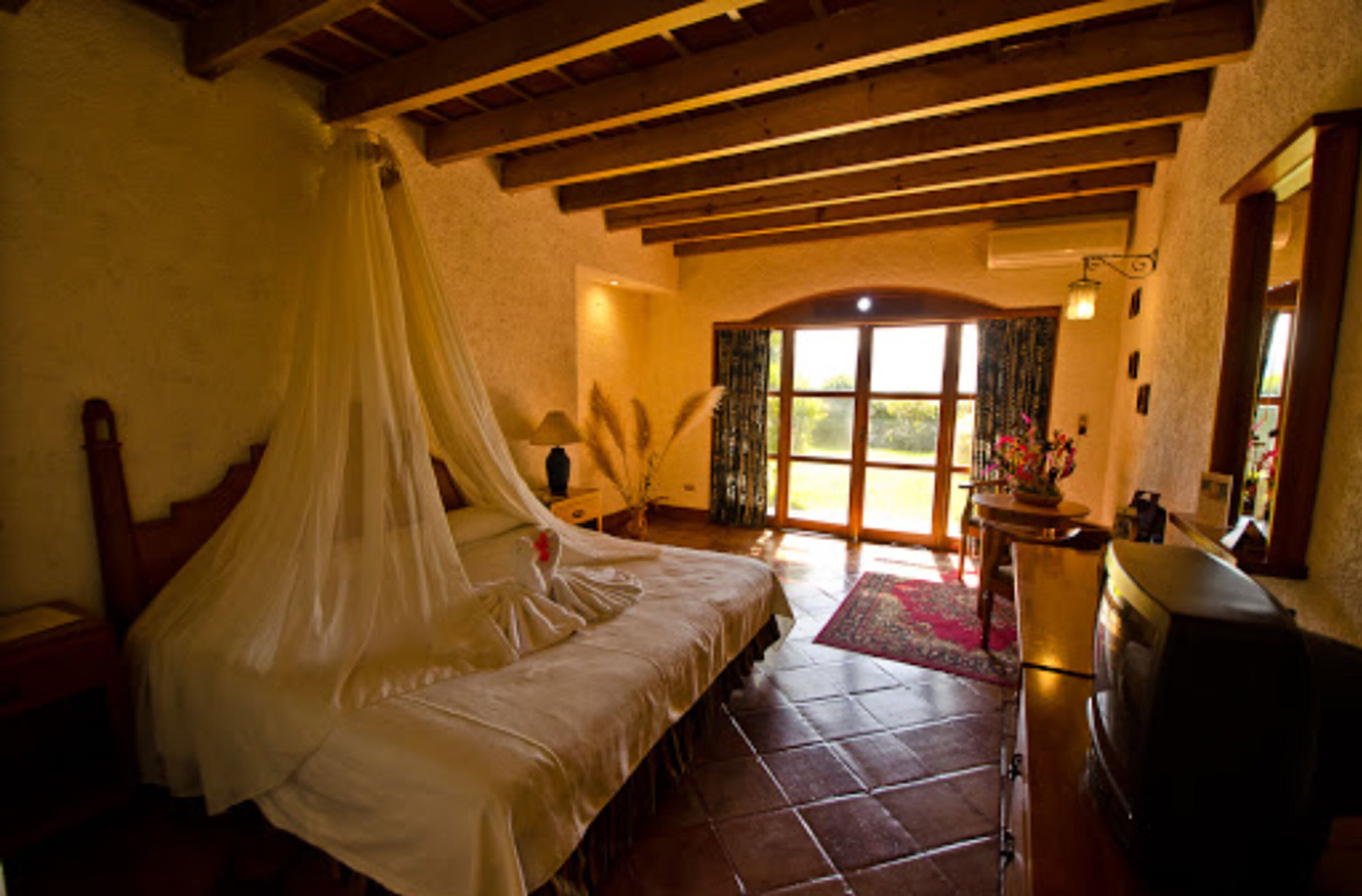 standard room, 1 king size bed, lake view | view from room