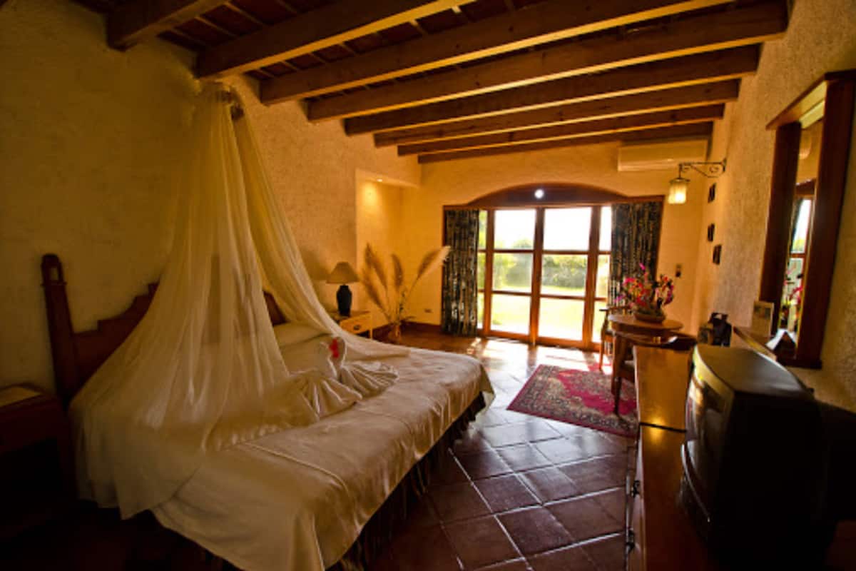 standard room, 1 king size bed, lake view | view from room