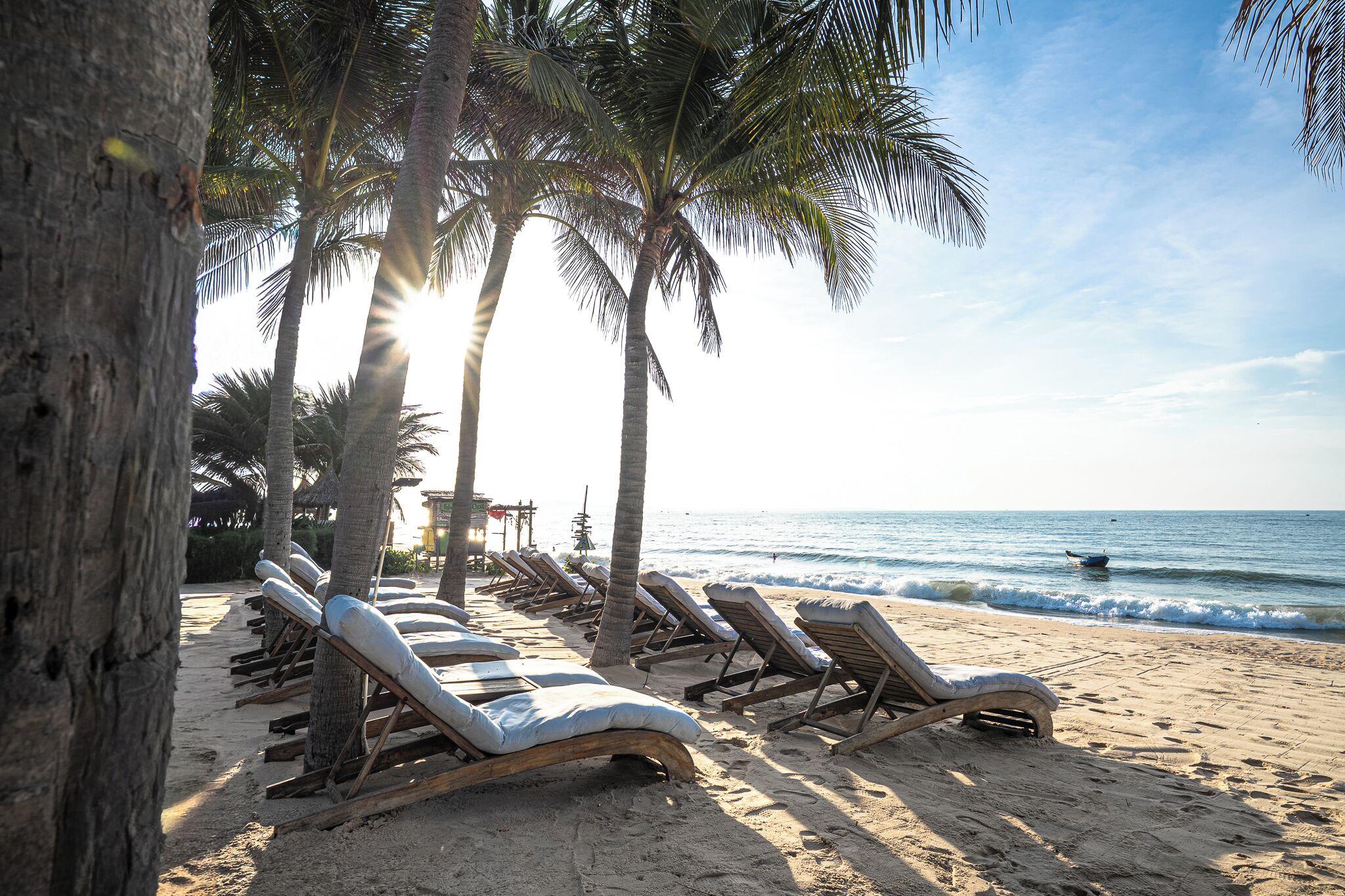 A beach with sun loungers, palm trees, and a clear view of the ocean.