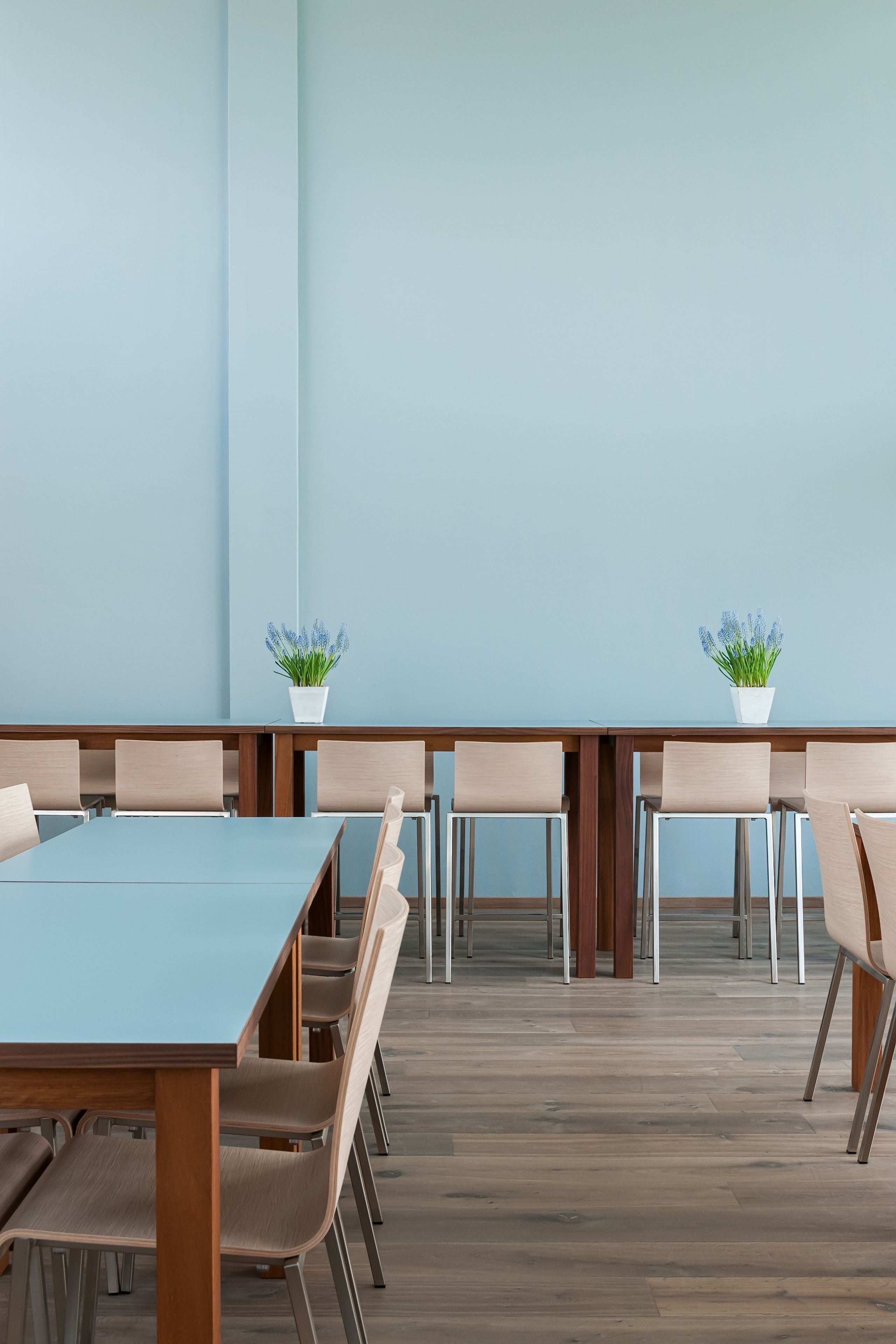 Une salle de conférence avec une longue table, de nombreuses chaises et deux plantes en pot posées sur la table.