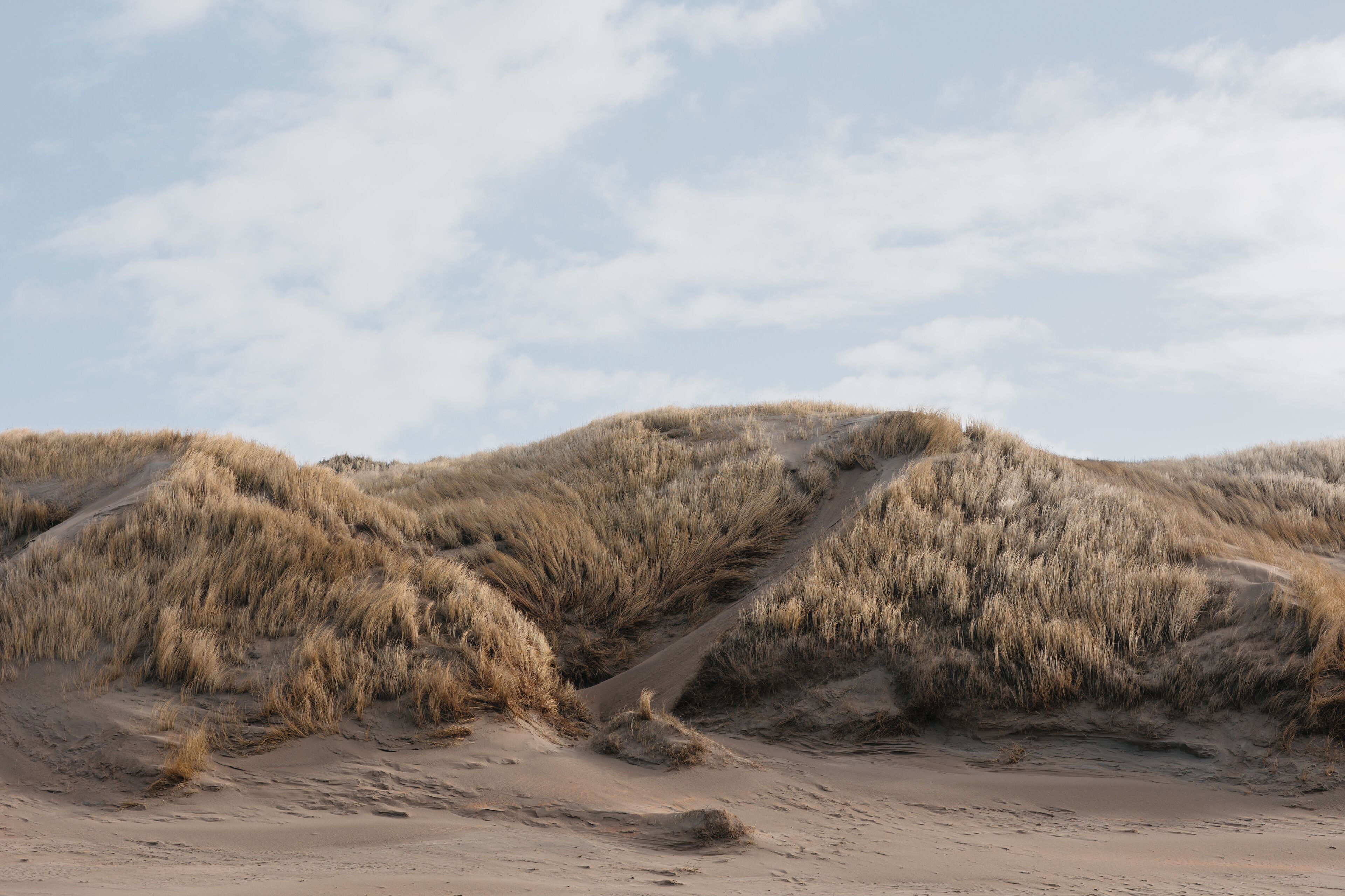 Foto - Zoomers aan het Bos