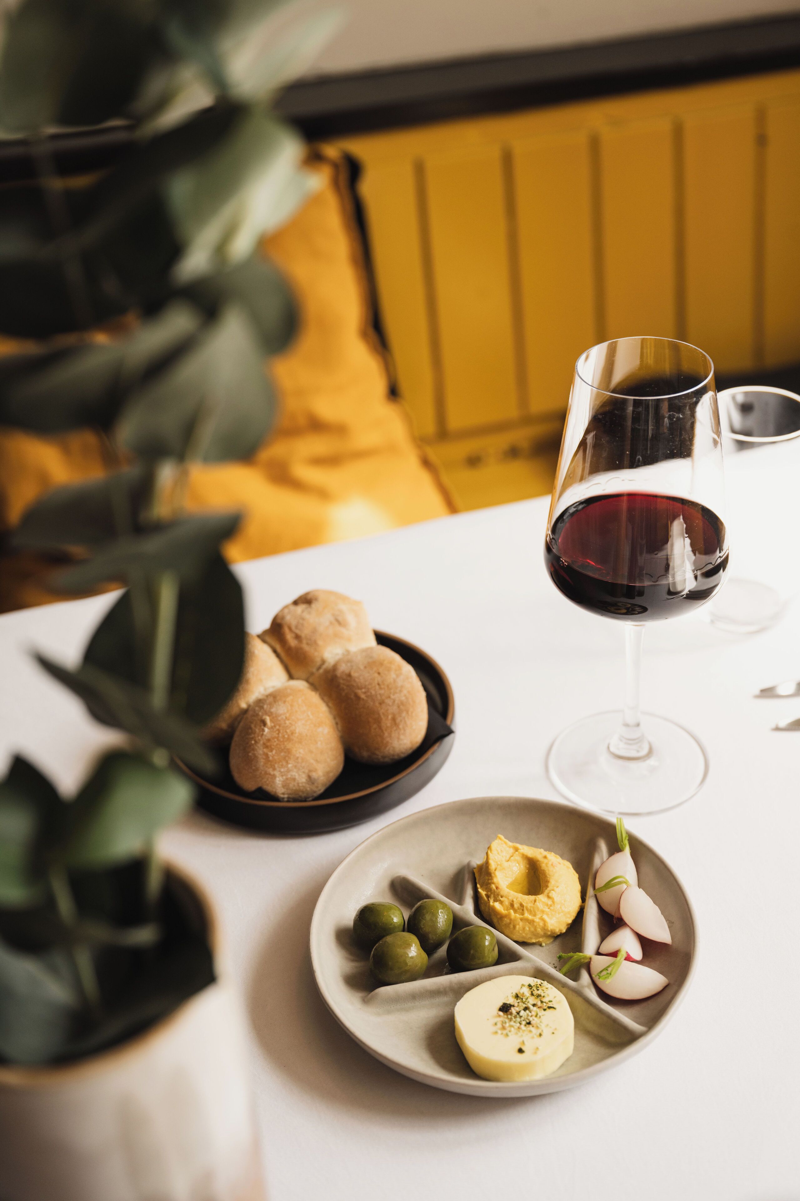 Foto - Zoomers aan het Bos