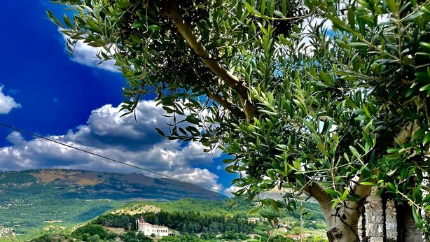 A terrace with a view of a lush valley, a stone table, and a potted plant with red flowers. - Hotel Villa Torre Antica (Atena Lucana)