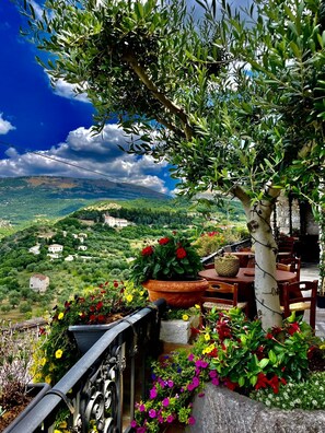 Una terraza con vistas a un valle exuberante, una mesa de piedra y una maceta con flores rojas.