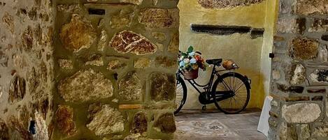 Interior con paredes de piedra, una bicicleta al fondo, una planta en maceta al frente y suelo de baldosas.