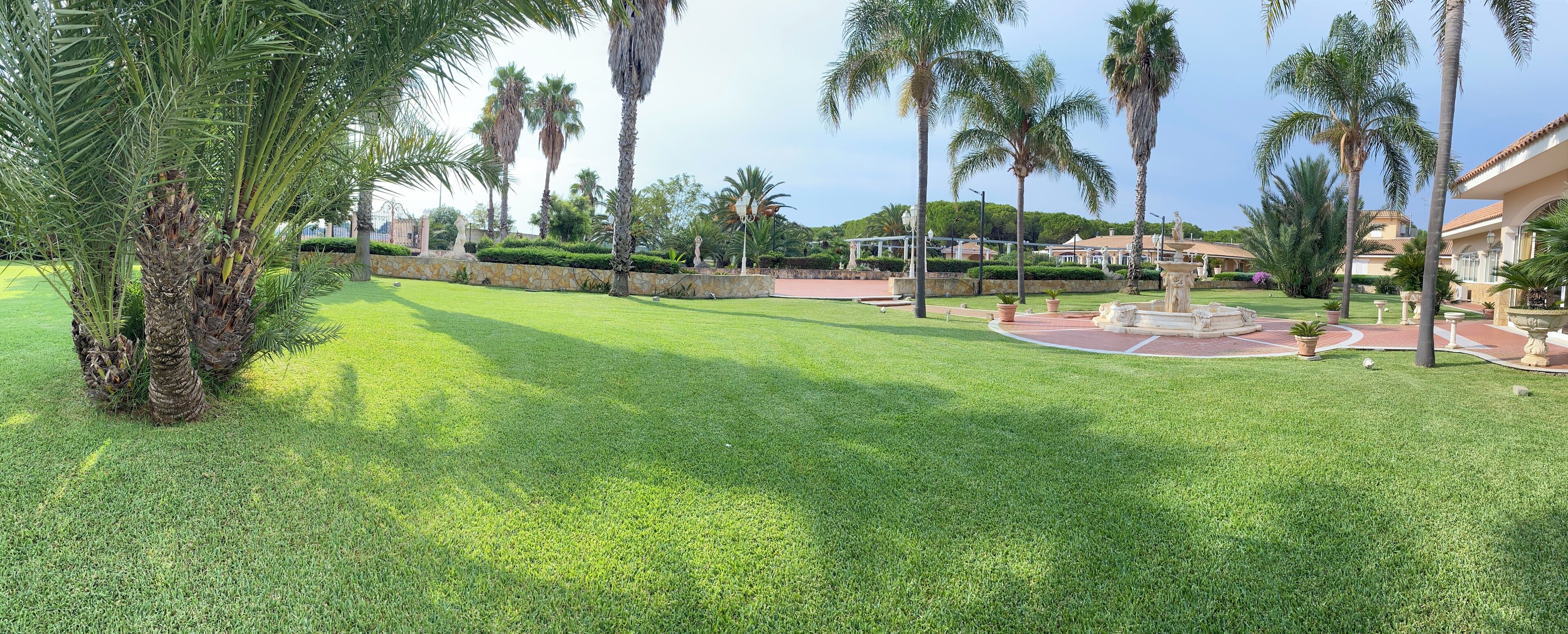 A well-maintained lawn with palm trees and a stone wall.