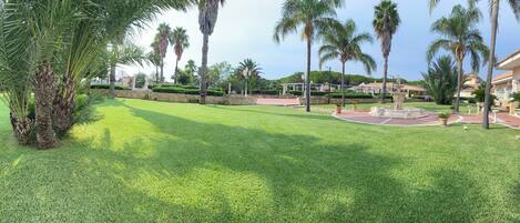 A well-maintained lawn with palm trees and a stone wall.