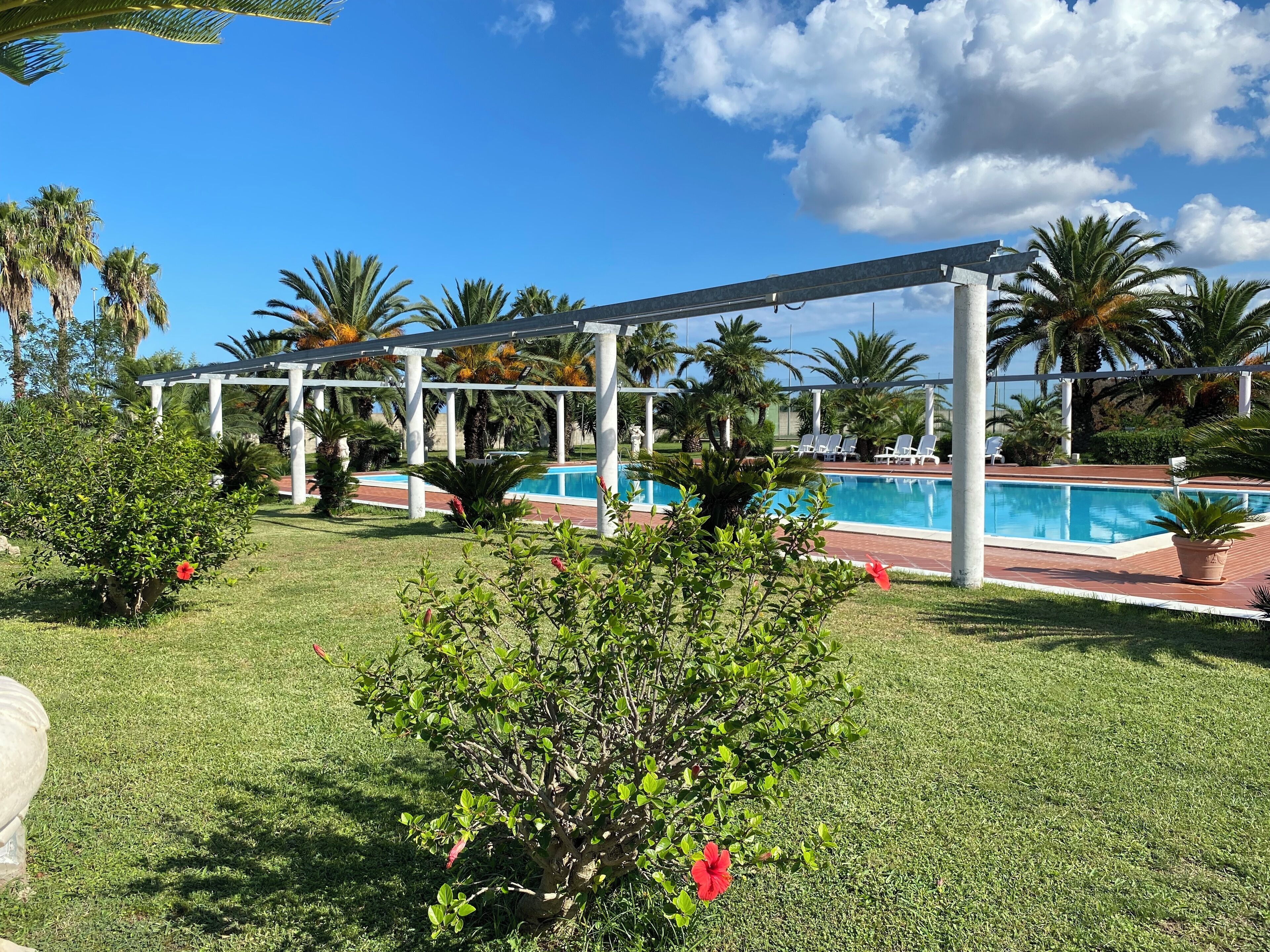 A pool area with a pergola, palm trees, and a well-maintained lawn.