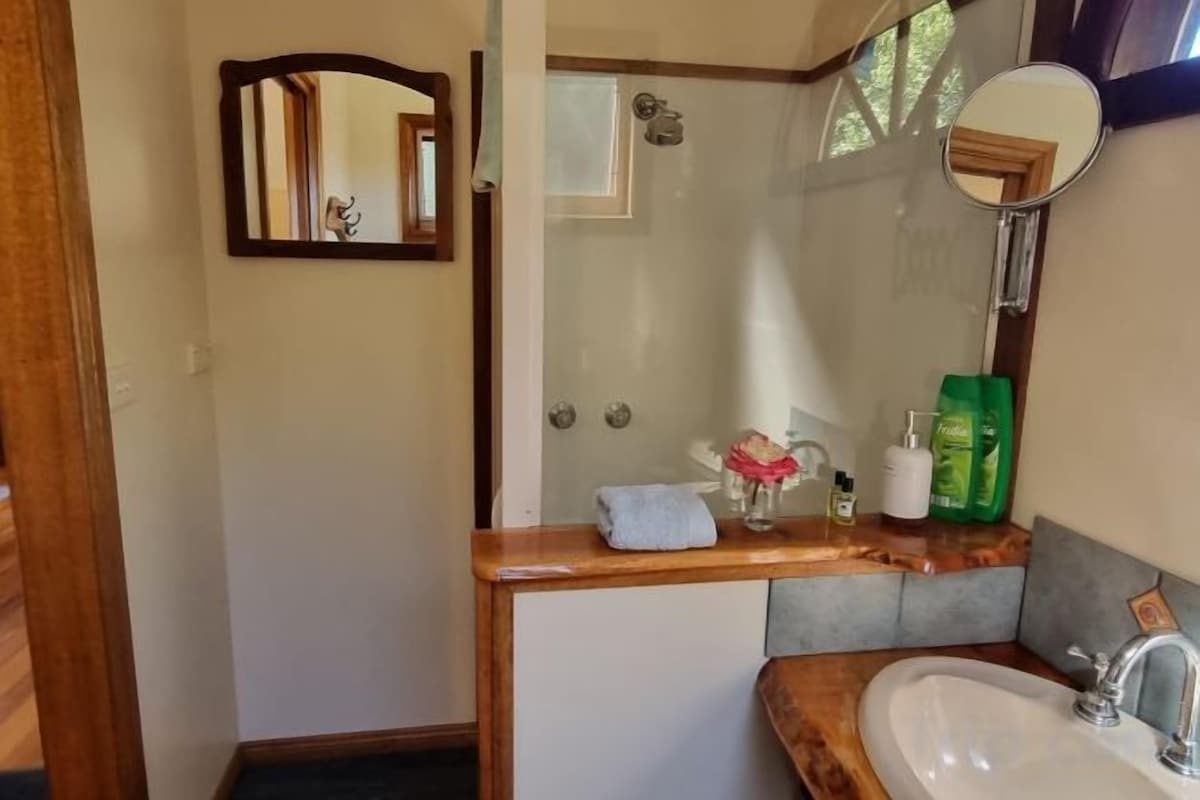 Baño | Regadera, amenidades de baño gratuitas, secadora de cabello, toallas 