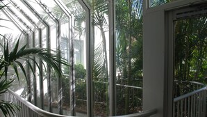 A glass-enclosed area with a metal railing, surrounded by lush greenery and palm trees. - Marriner Views (Surfers Paradise)