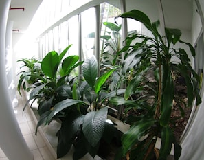 Interior - Marriner Views (Surfers Paradise)