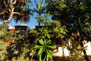 Habitación (Byrneside Queen Motel) | Vista al jardín