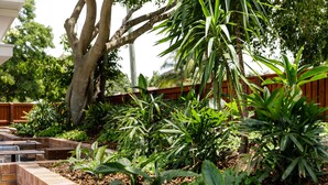 A garden area with a wooden deck, a large tree, and various plants.