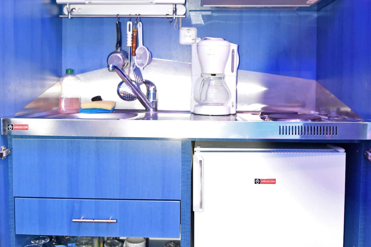 superior studio, 1 queen bed, city view | private kitchen | fridge, microwave, spices, cleaning supplies