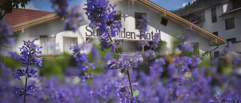 Façana frontal de l'allotjament