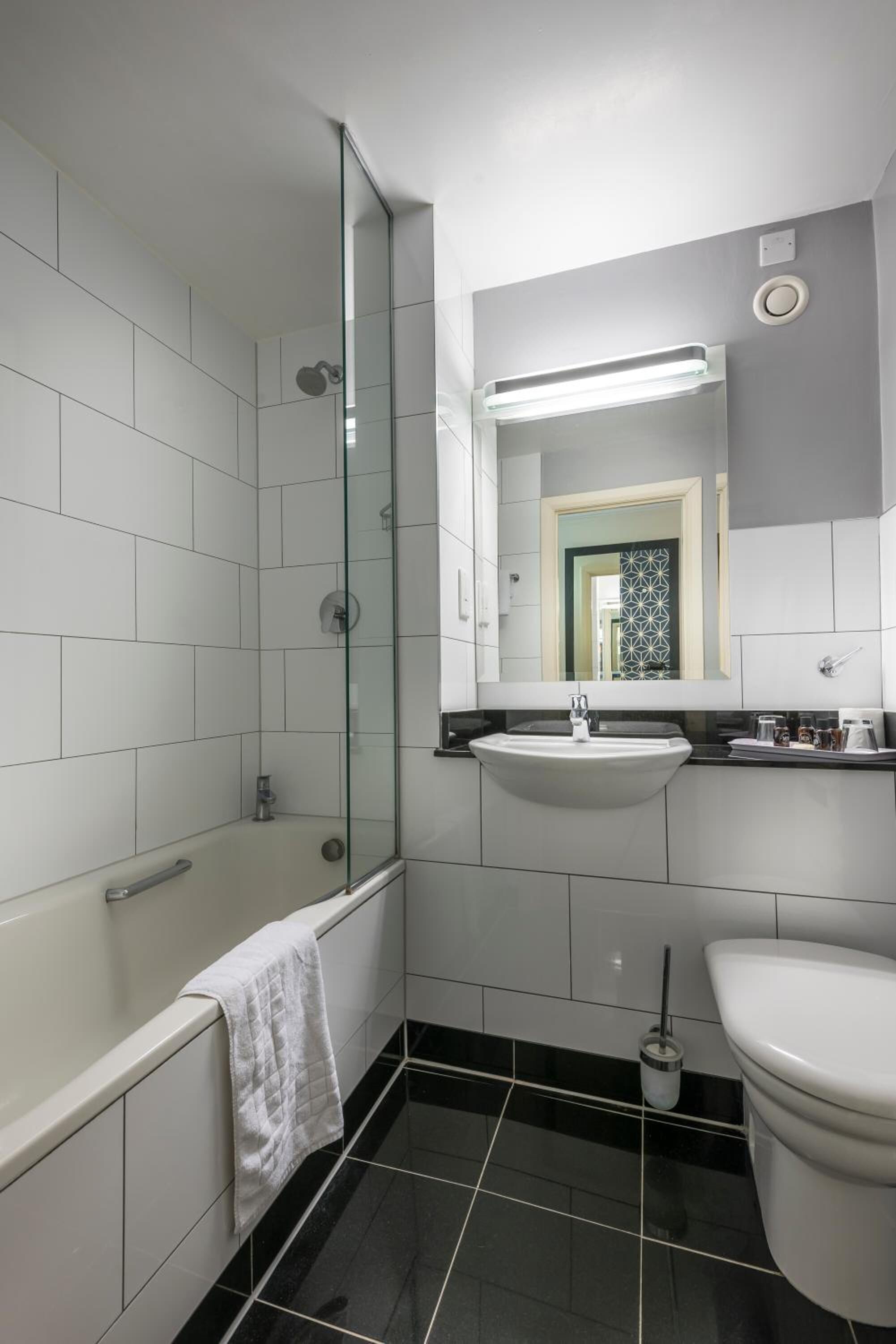 hair dryer, towels, soap, shampoo