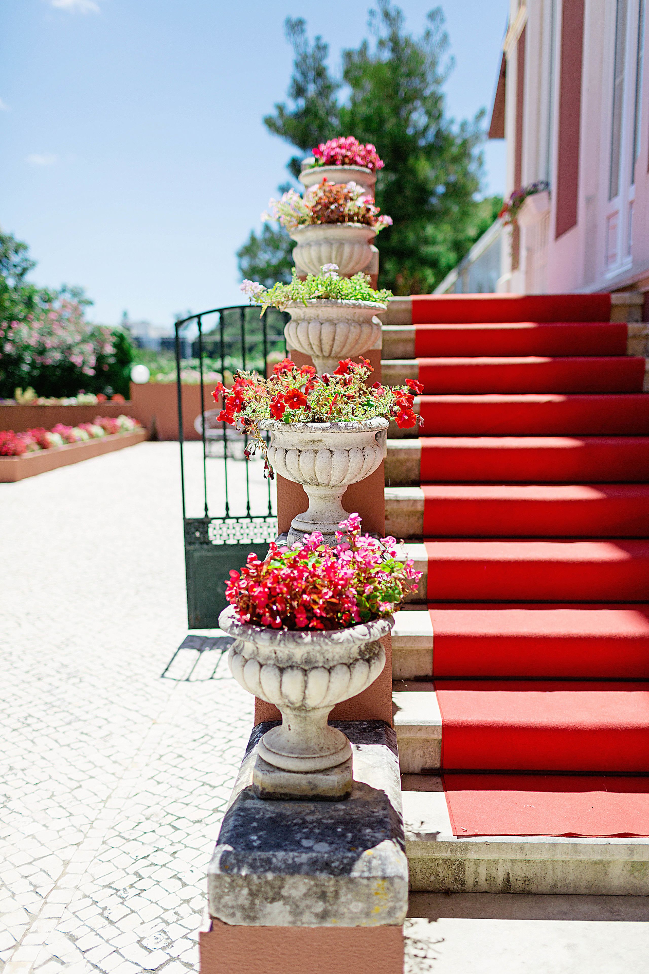 Foto - Challet Fonte Nova