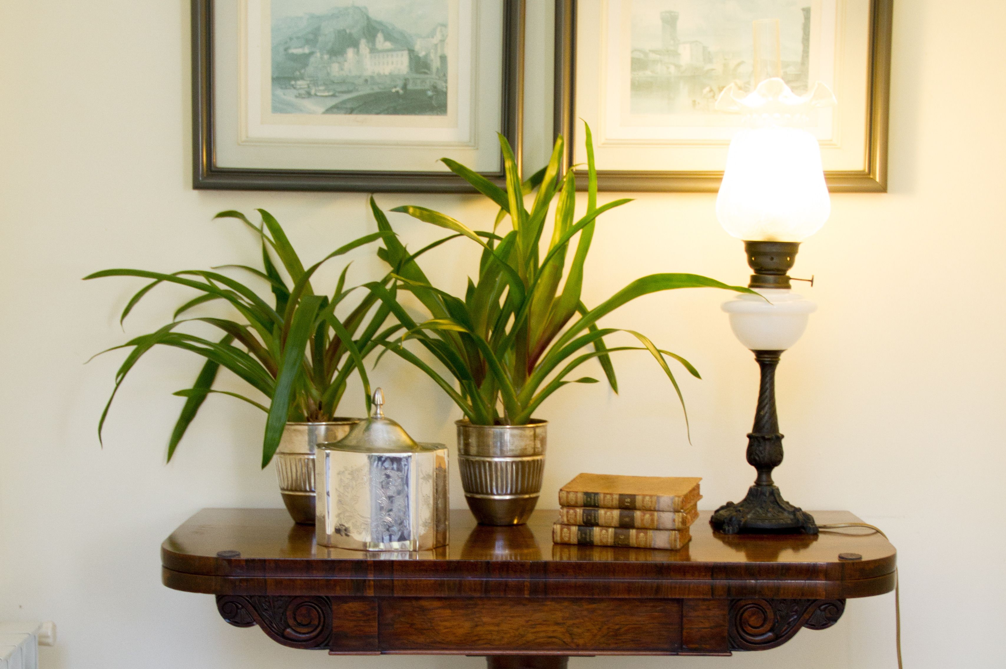 A wooden side table with two potted plants, a decorative lamp, and a stack of books.
