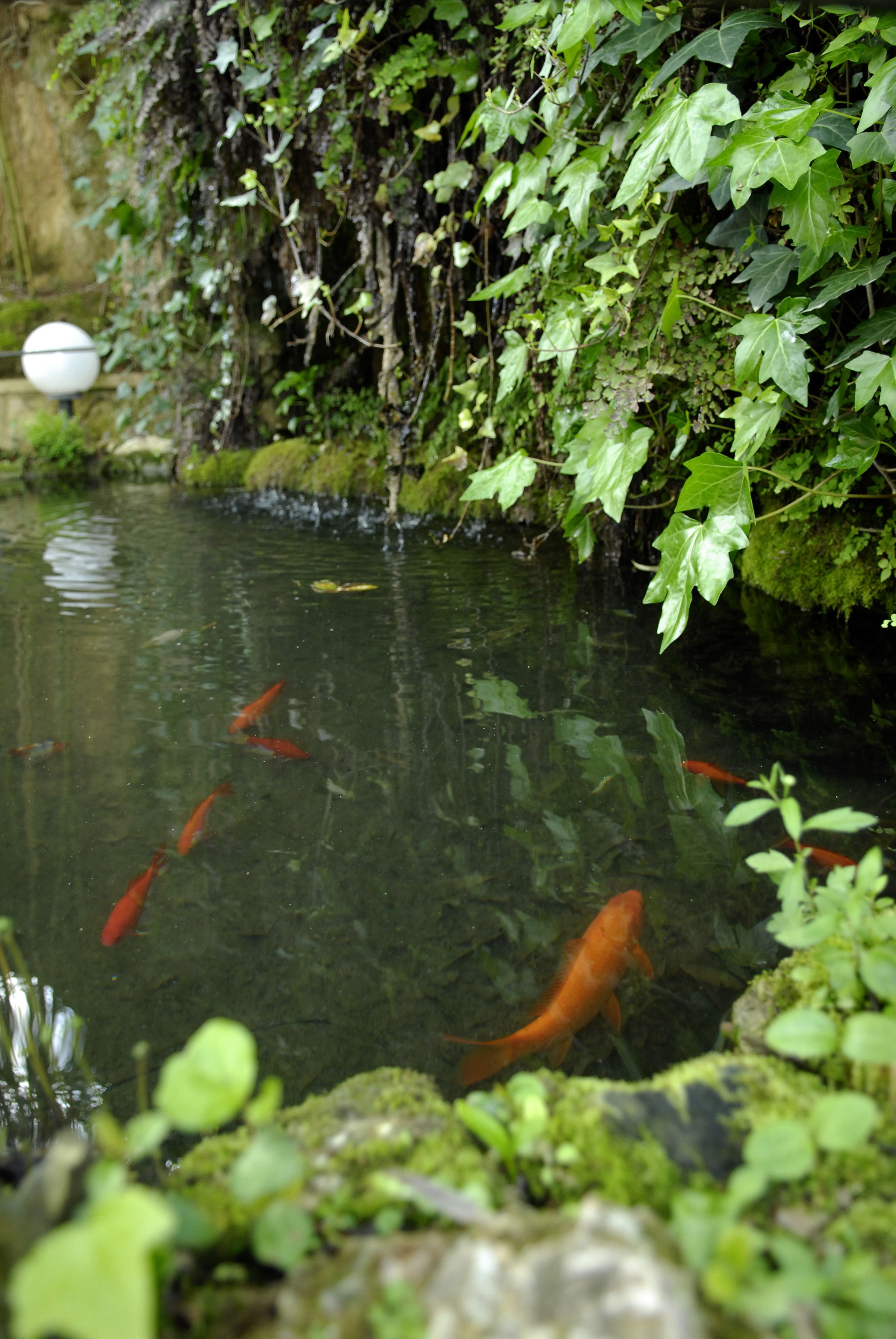 Foto - Challet Fonte Nova