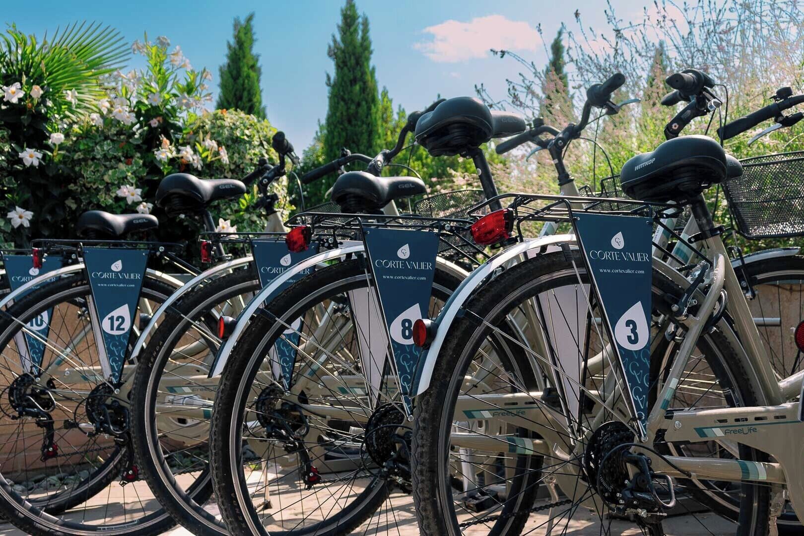 A row of bicycles parked in an outdoor area with greenery and trees in the background.