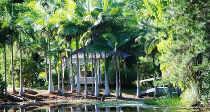 Mt Warning Rainforest Retreat