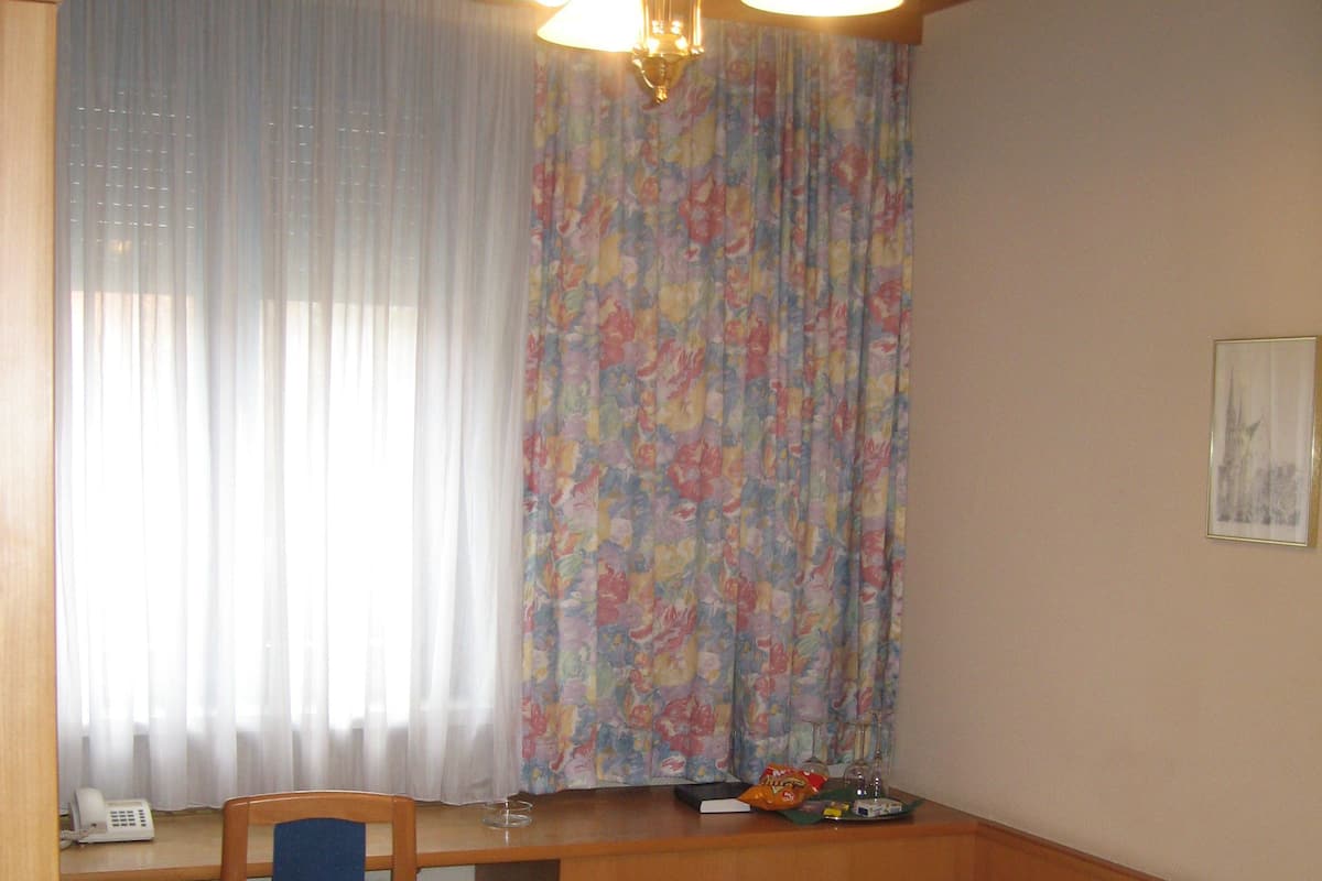 Single Room | Minibar, desk, iron/ironing board (on request), WiFi (free)