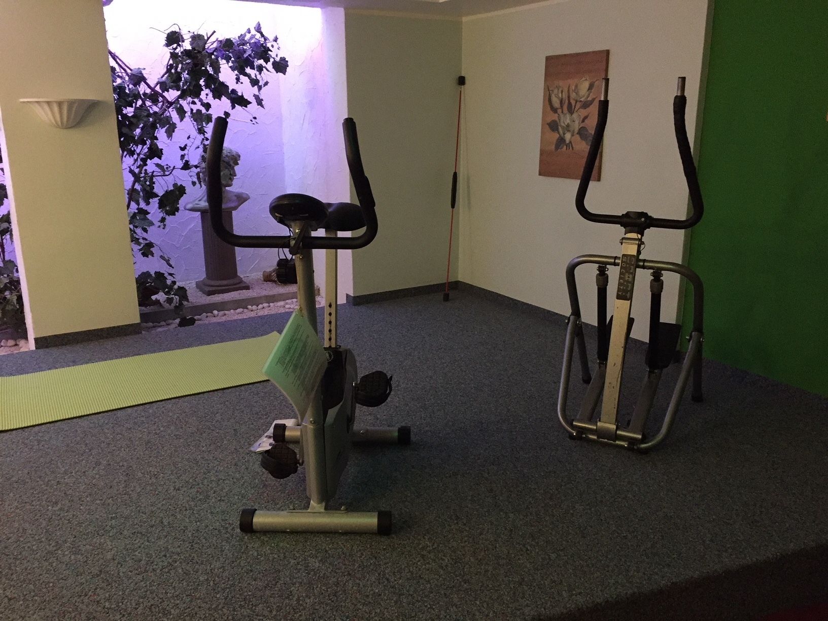Deux vélos d’appartement dans une pièce avec un mur vert, un tableau et une petite plante.