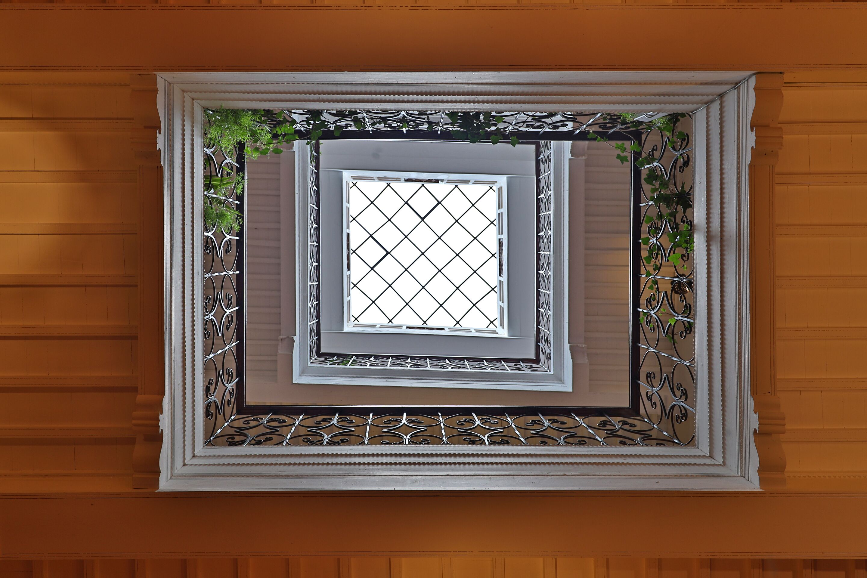 Foto - Villa Garance