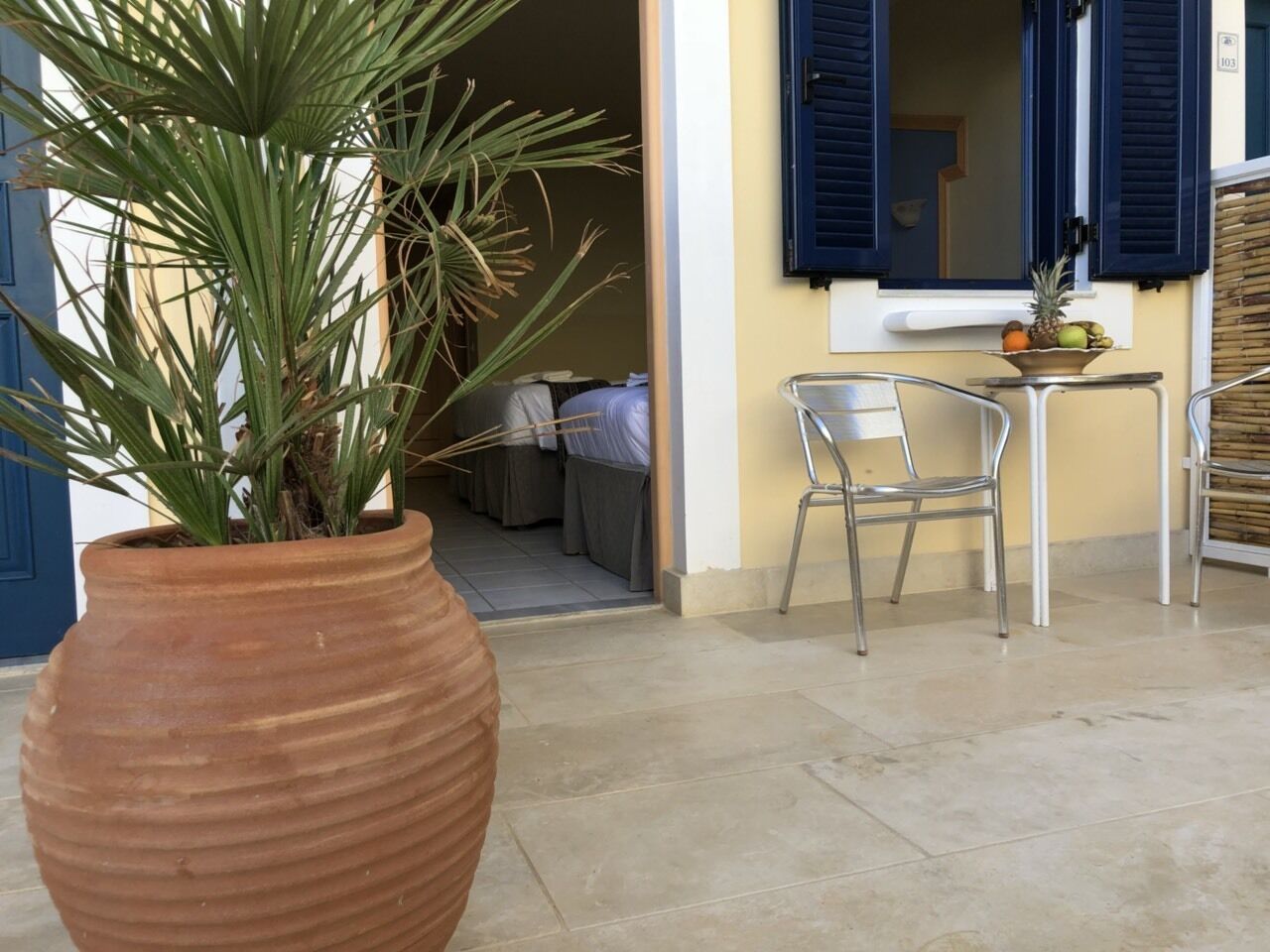 A potted plant in a terracotta pot, a metal chair, a small table with a bowl of fruit, and a building entrance with a window and shuttered door.