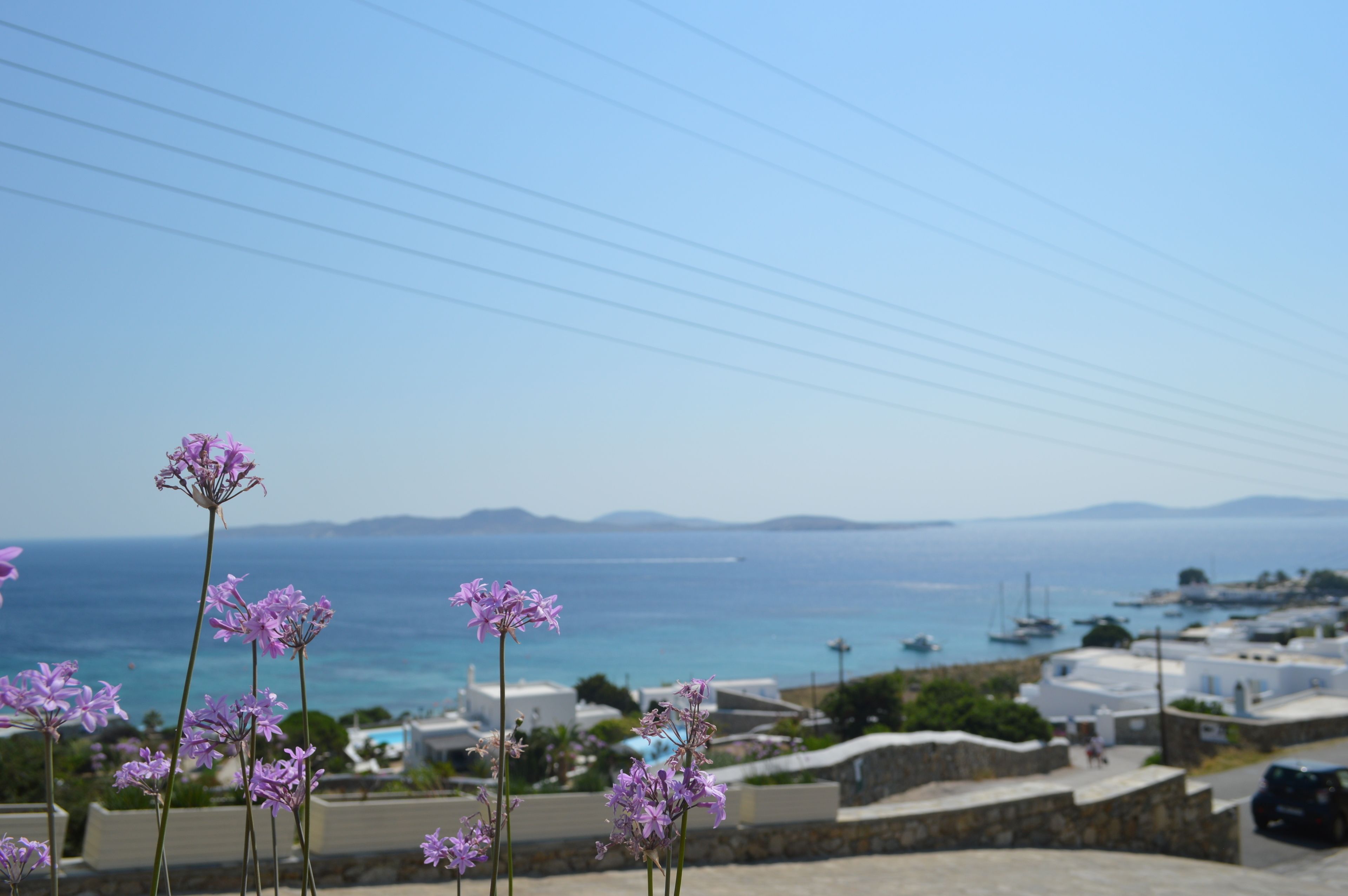 Foto - Panthea Residence