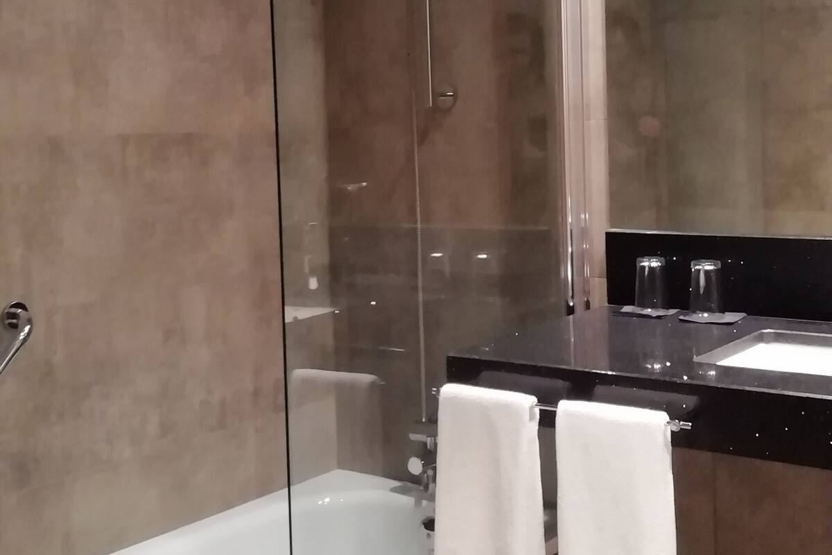 double room single use | bathroom | rainfall showerhead, free toiletries, hair dryer, bidet