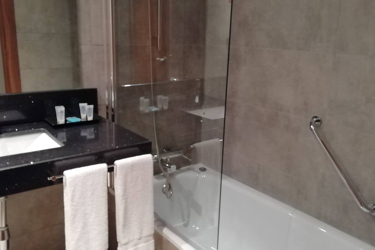 double room | bathroom | rainfall showerhead, free toiletries, hair dryer, bidet