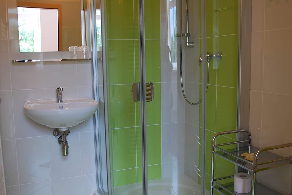 economy double room, 1 bedroom | bathroom | shower, free toiletries, hair dryer, towels