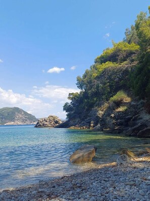 A rocky shoreline with clear water, pebbles, and greenery. - Christina Studios & Apartments (Parga)