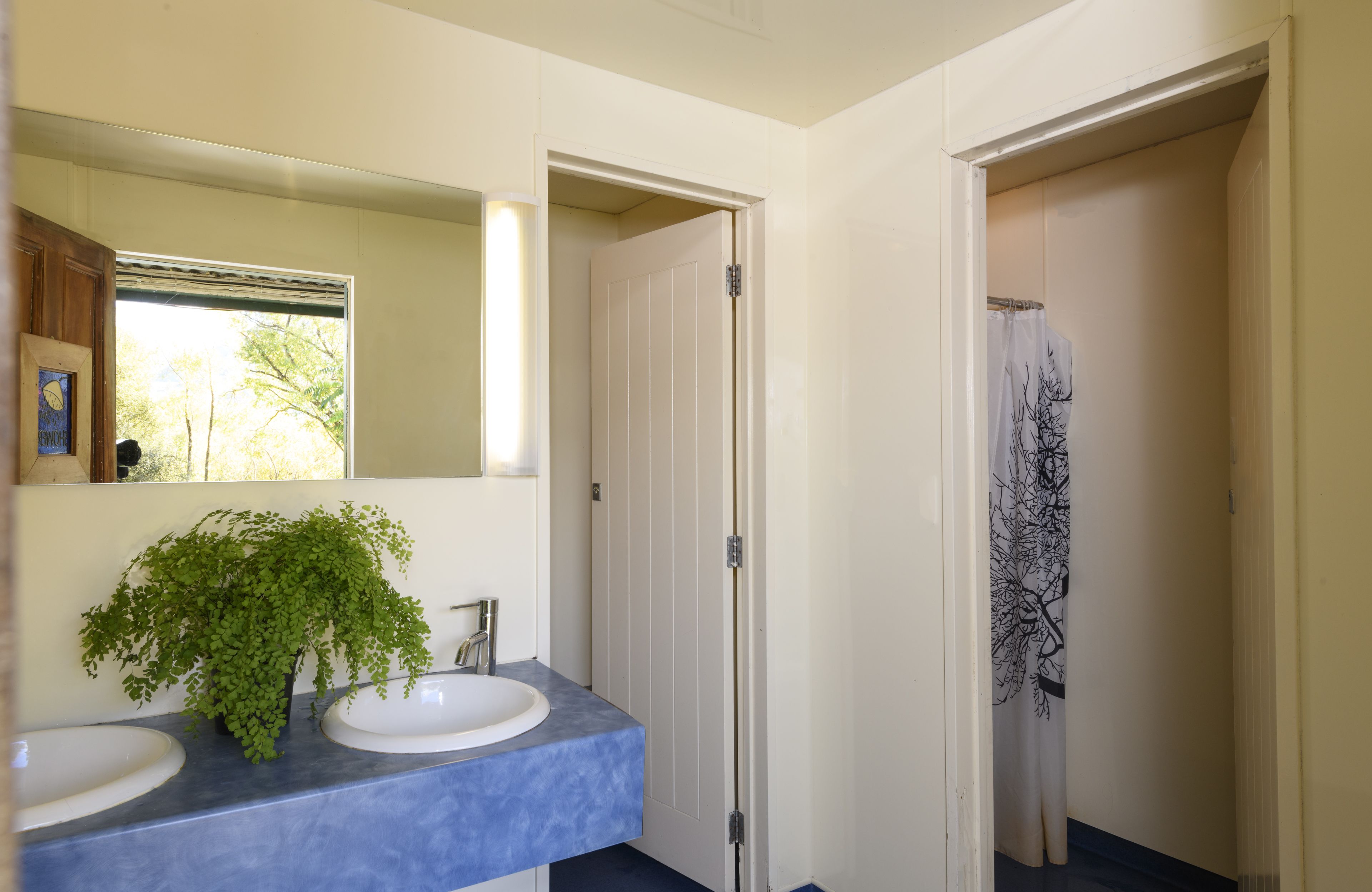 A bathroom with two sinks, a mirror, and a shower curtain with a tree design.