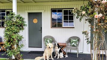 Pet-friendly