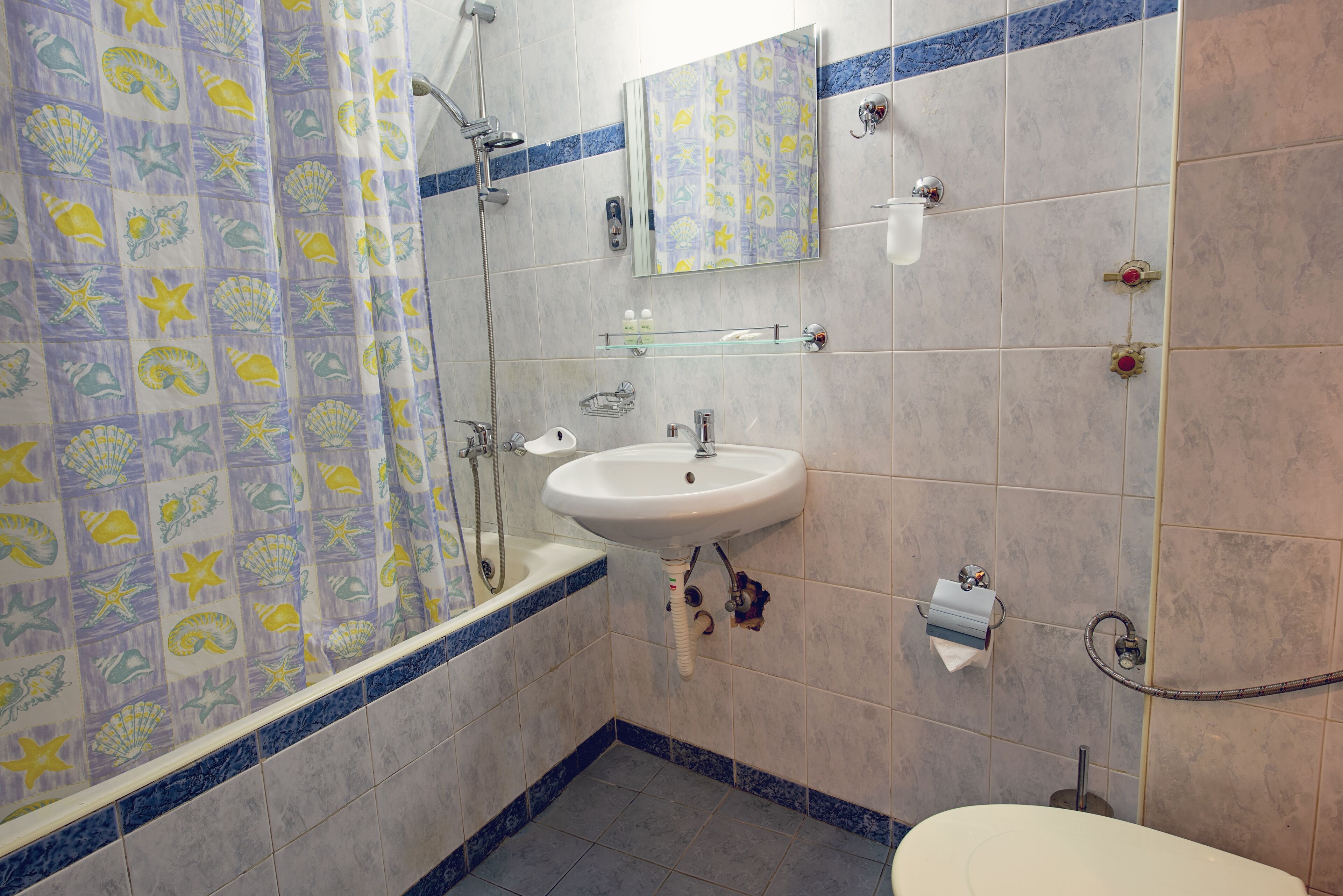 suite | bathroom | hair dryer, towels, shampoo