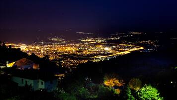 Une vue nocturne d’une ville, avec un quartier densément peuplé et une colline sur laquelle se trouve une maison, visible au premier plan.
