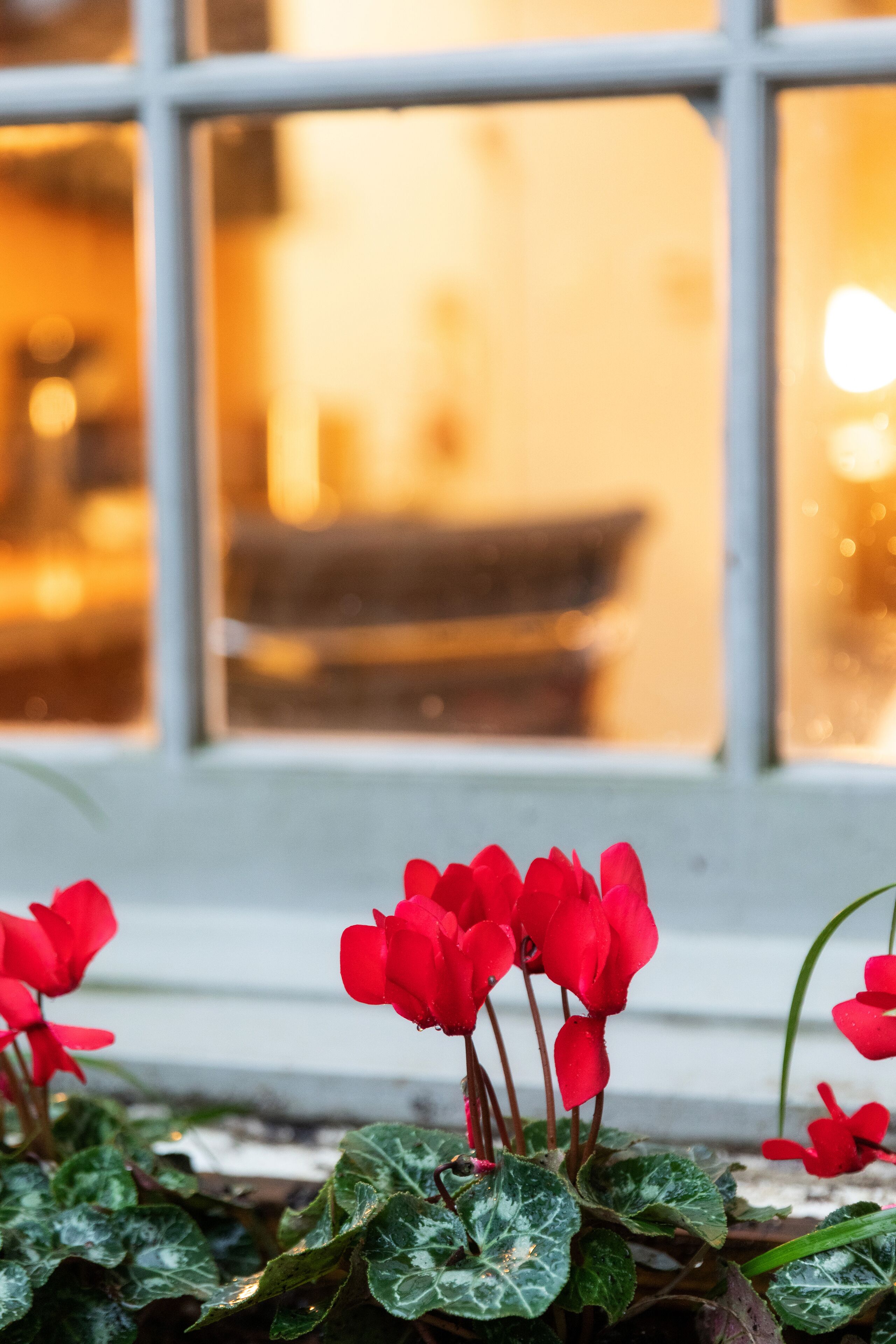 standard room, 1 queen bed | garden view
