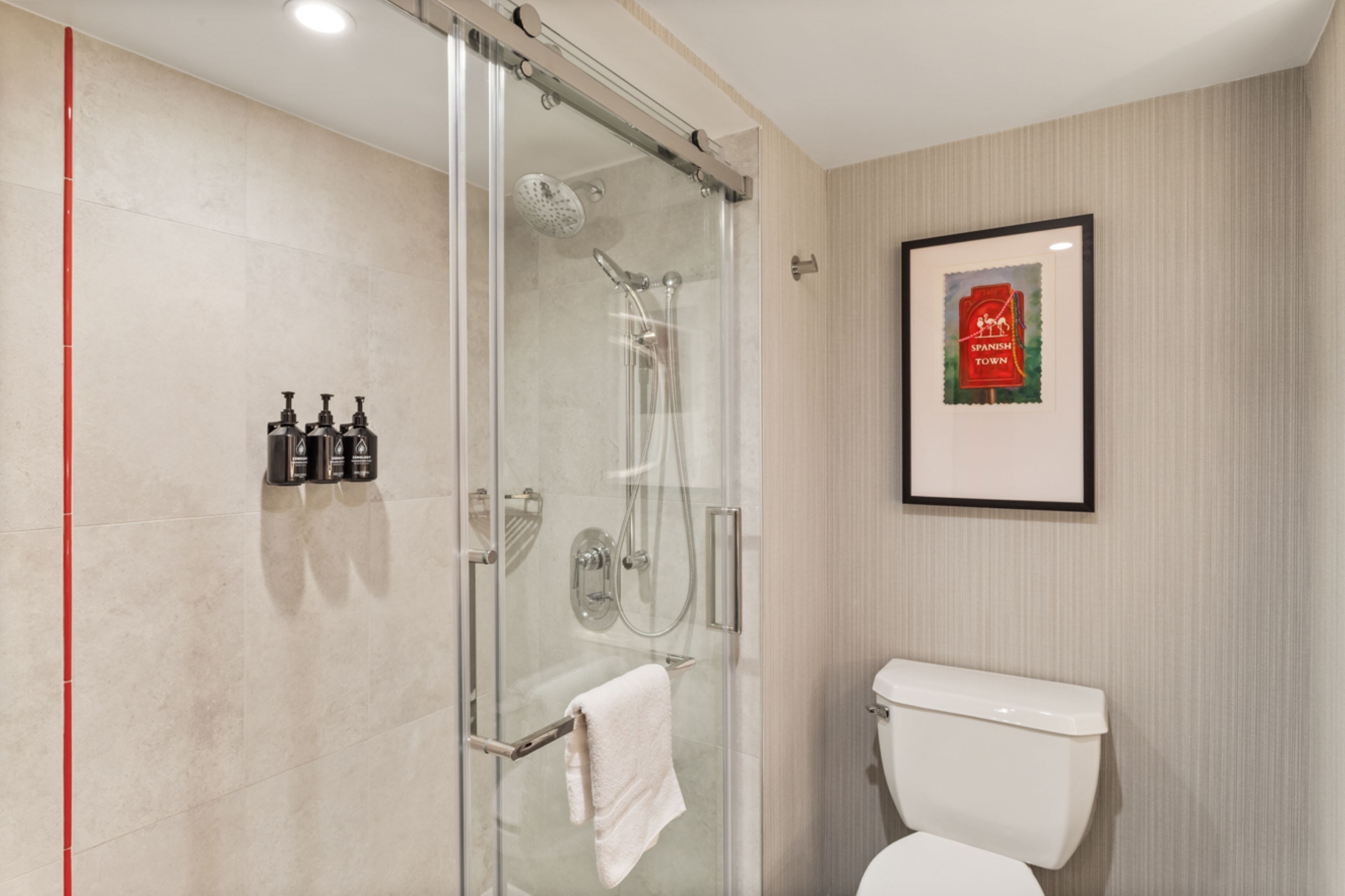A modern bathroom with a glass-enclosed shower, a white toilet, and a framed picture on the wall.