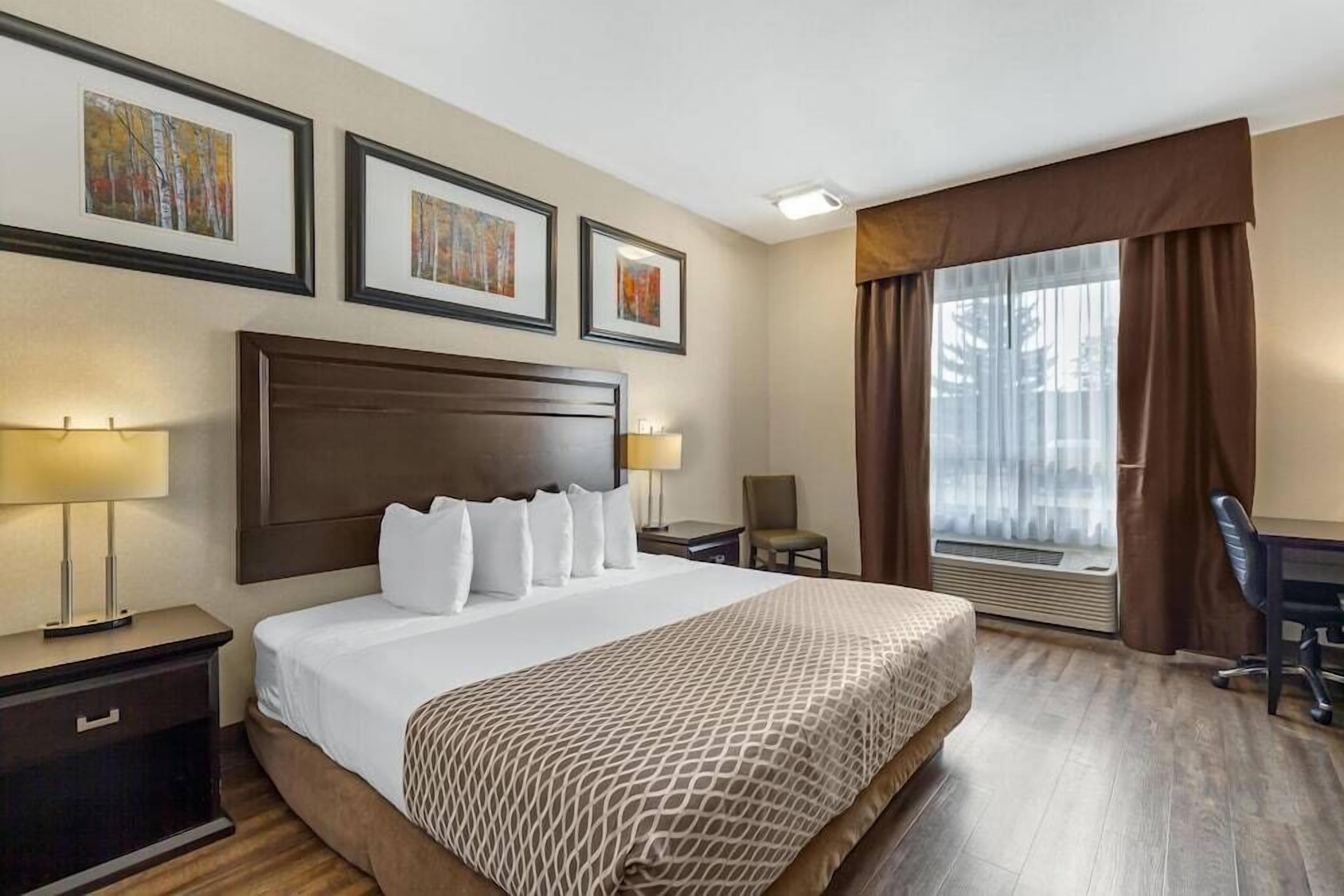 Desk, laptop workspace, iron/ironing board, free WiFi