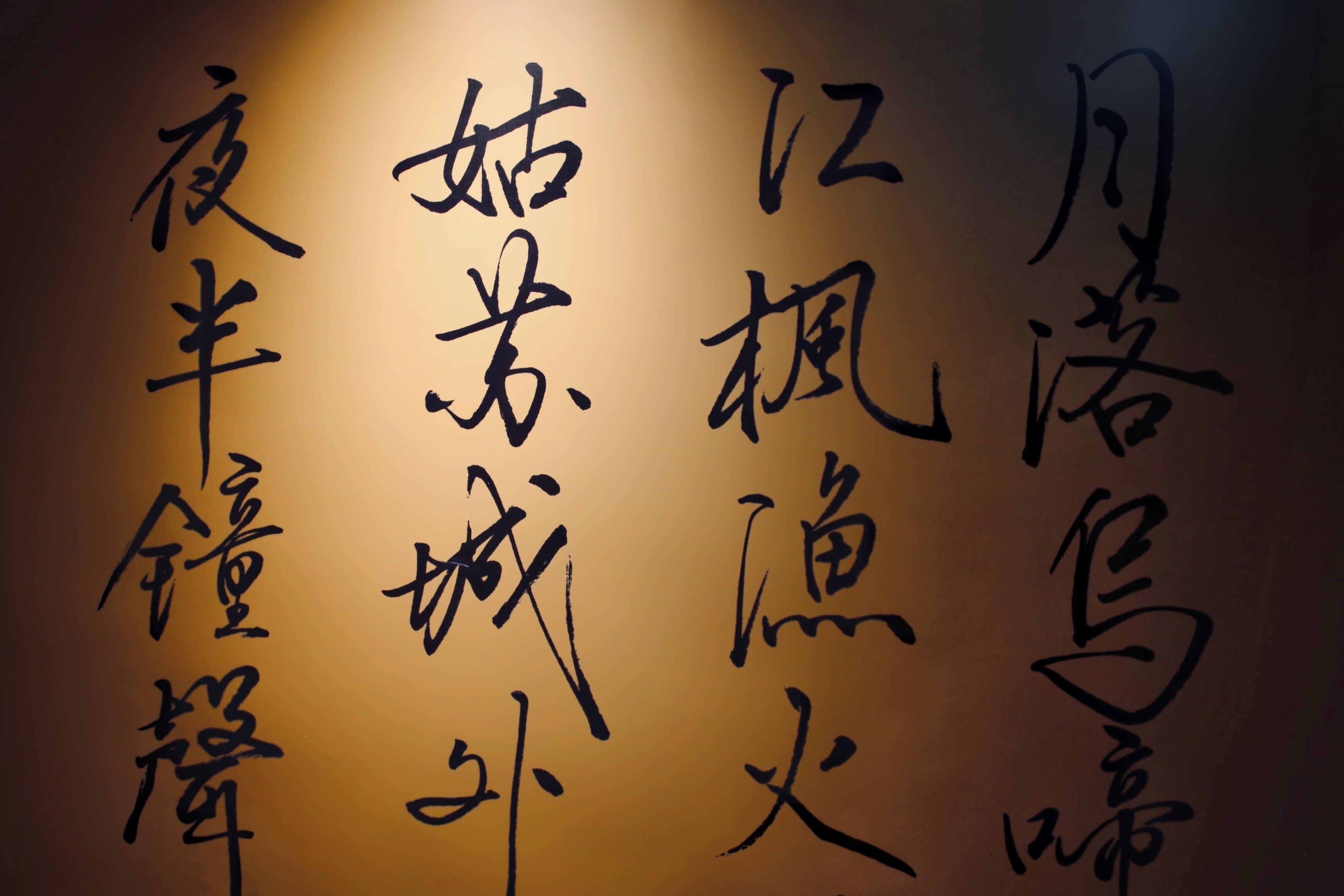 Foto - Butterfly on Wellington, Central