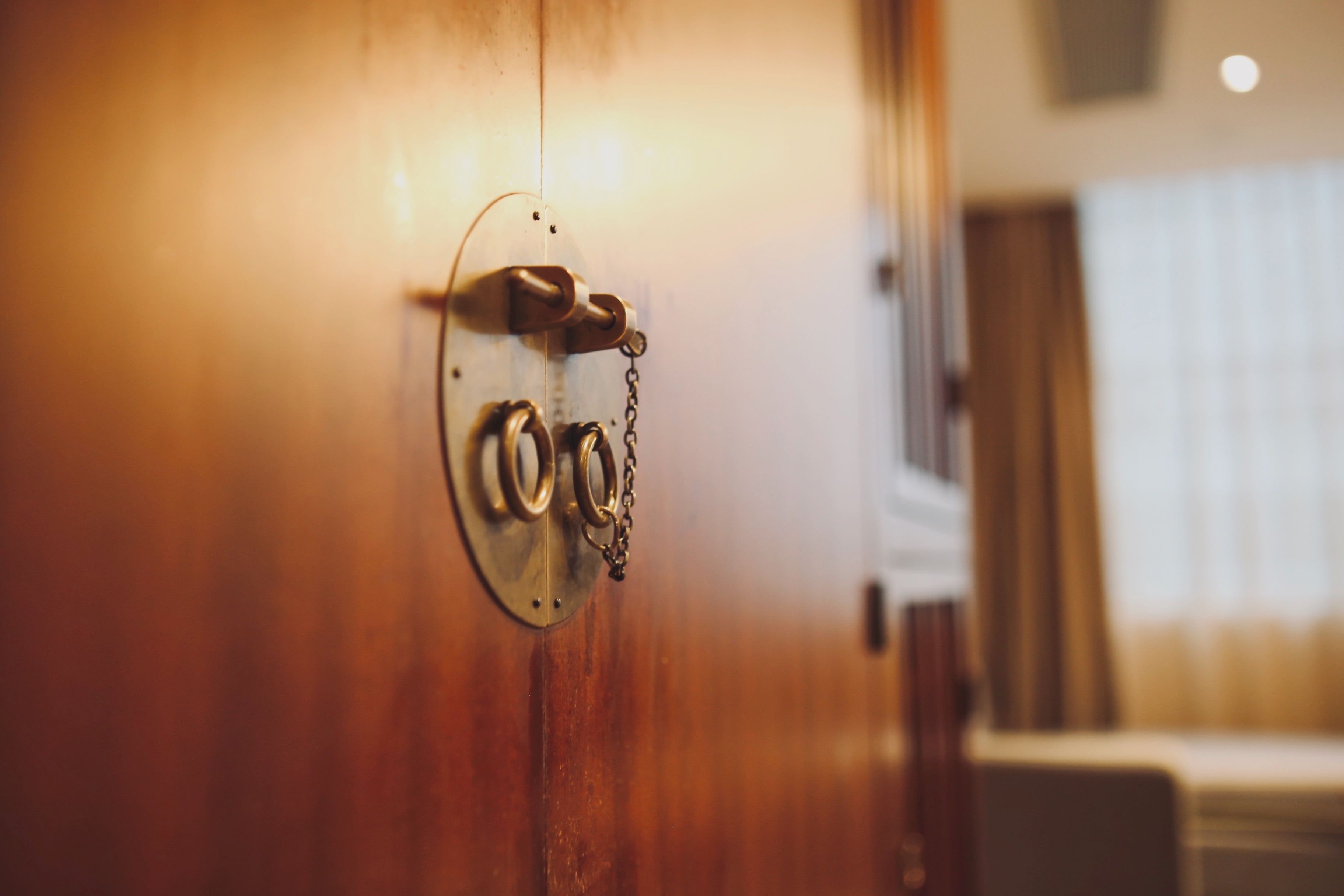 Photo - Butterfly on Wellington, Central