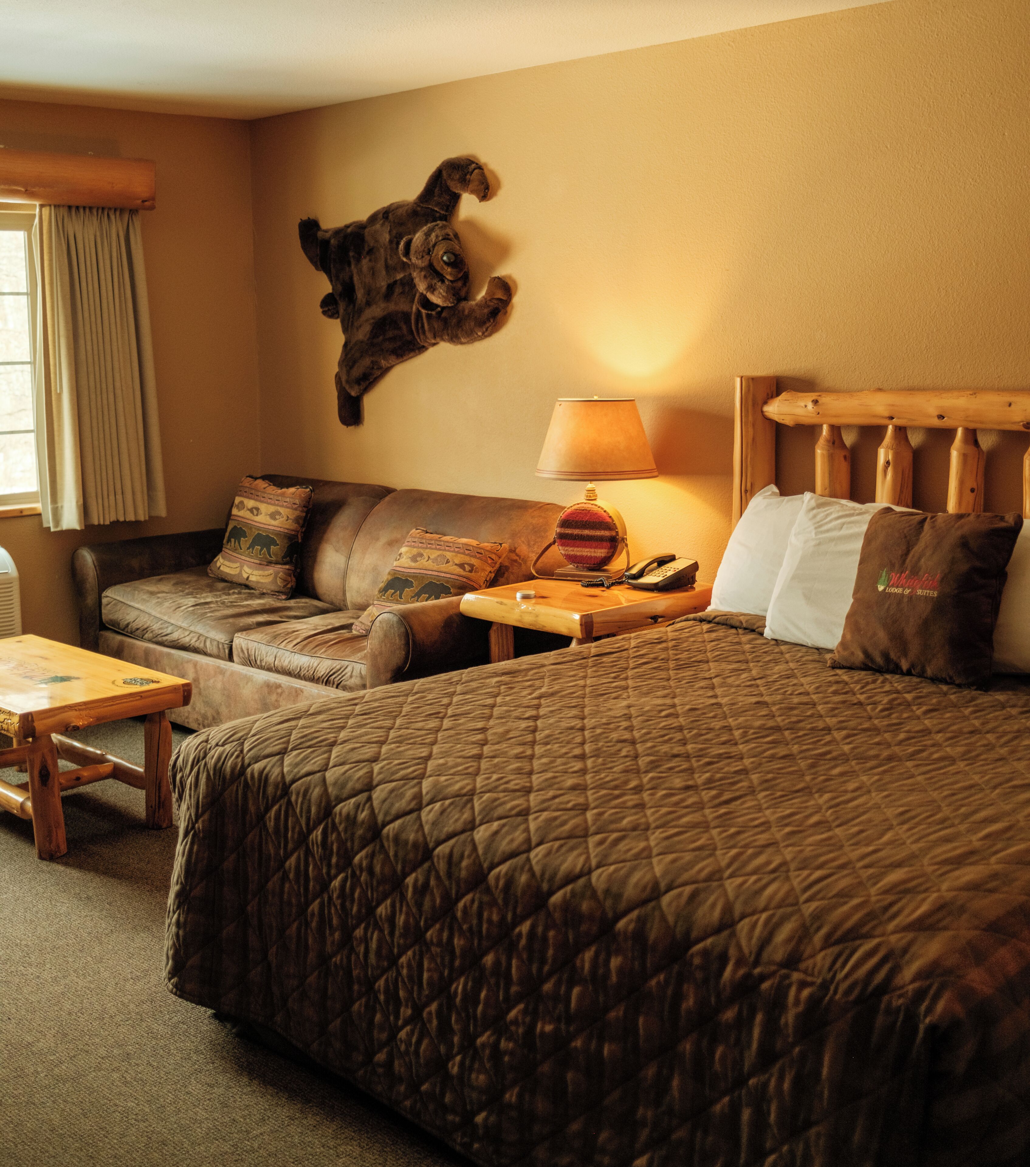 A hotel room with a large bed, a sofa, a small table, a lamp, and a mounted animal head on the wall.