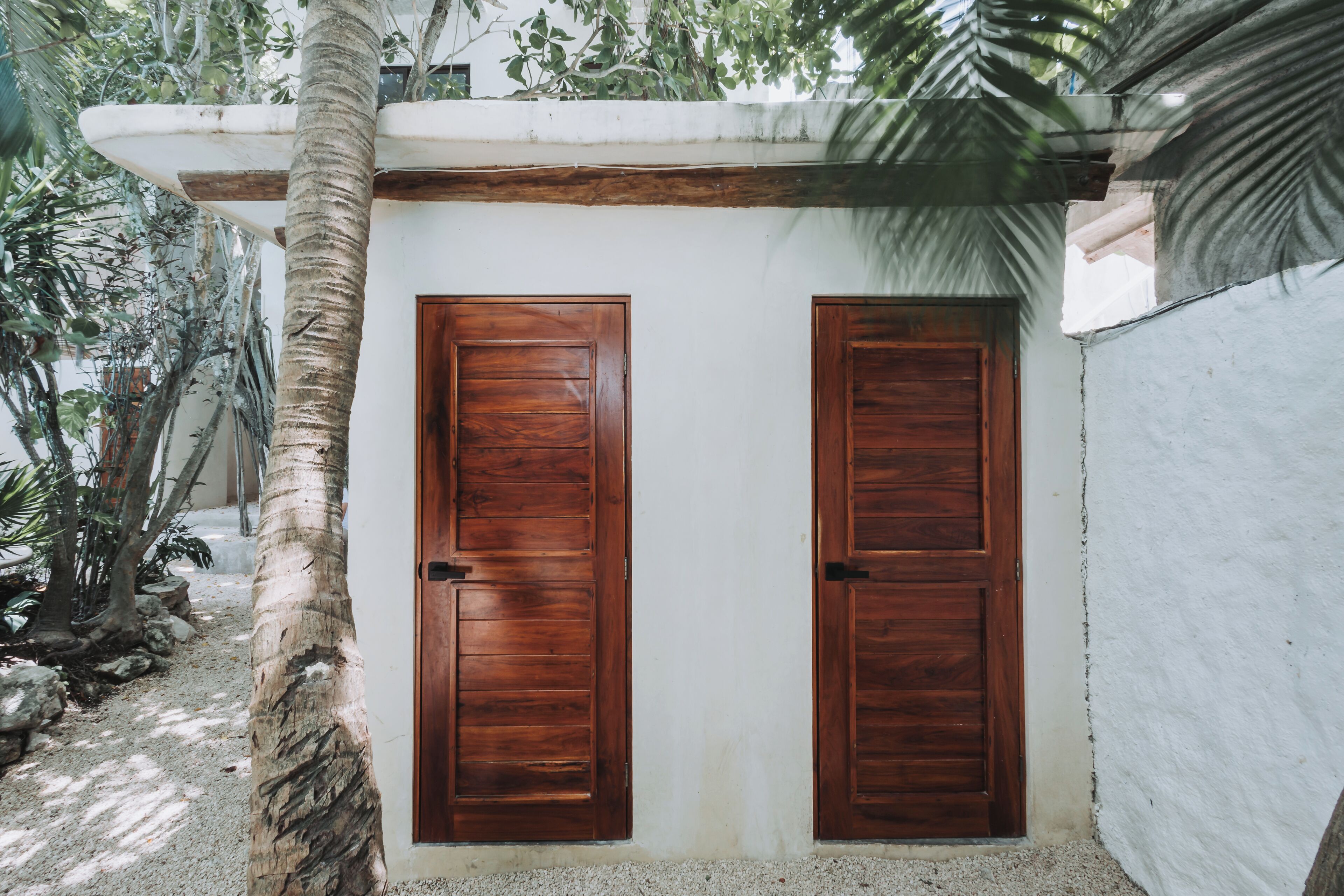 A white building with two wooden doors, surrounded by palm trees and greenery.