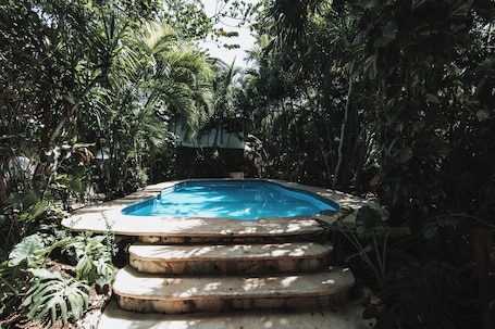 ์ผ์ธ ์์์ฅ, ์์์ฅ ํ๋ผ์