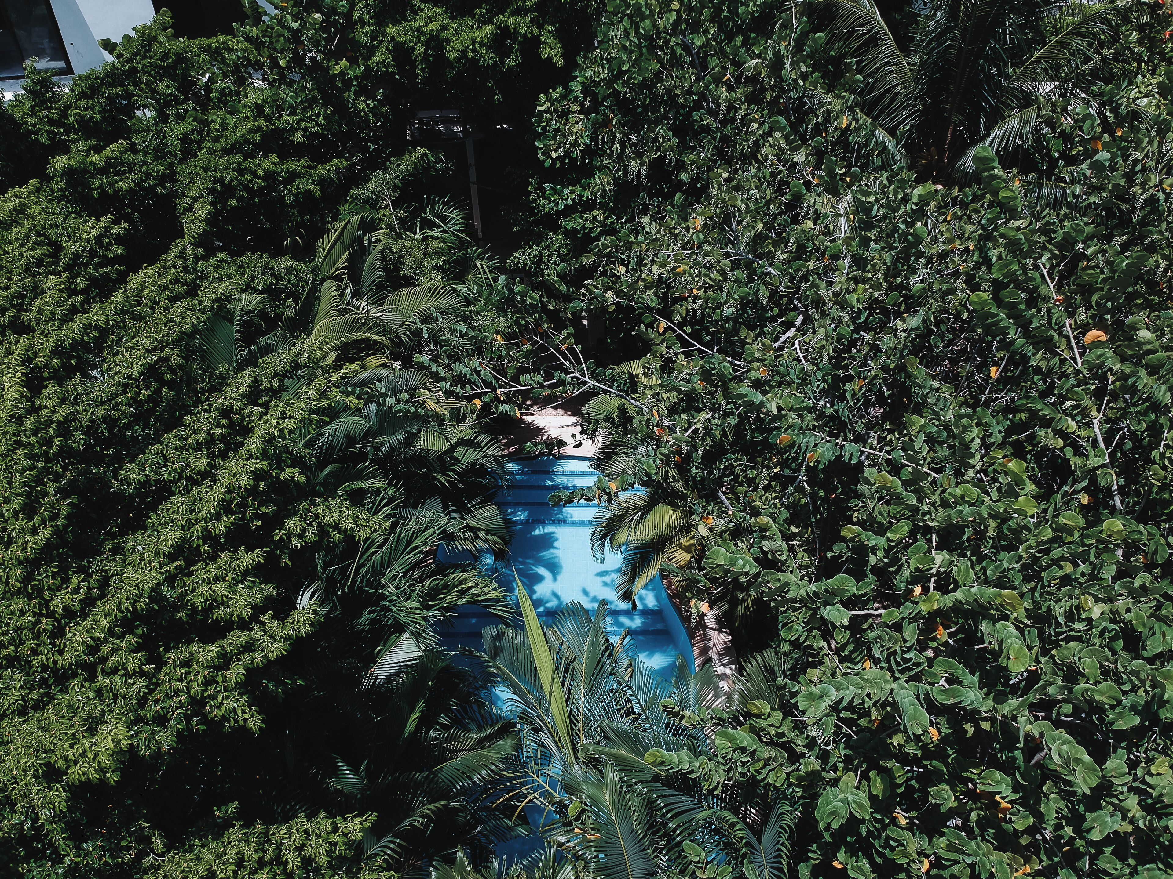 outdoor pool, pool umbrellas