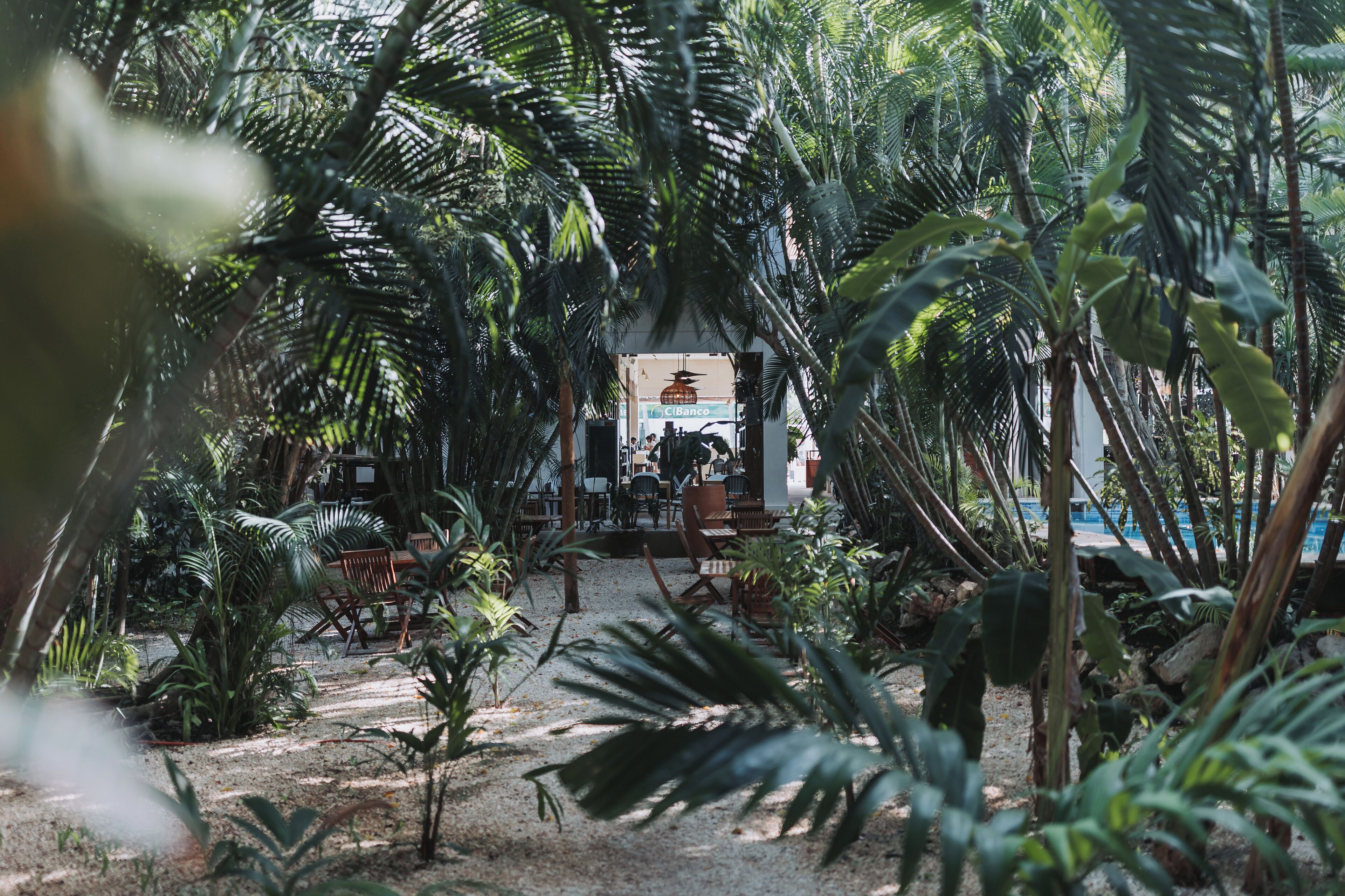 A tropical indoor setting with a dining area, palm trees, and a visible sign for 'CIBanco'.