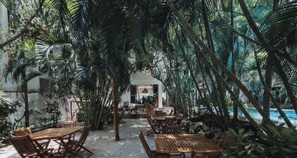 Hotel Casa BĂĄrbara Holbox