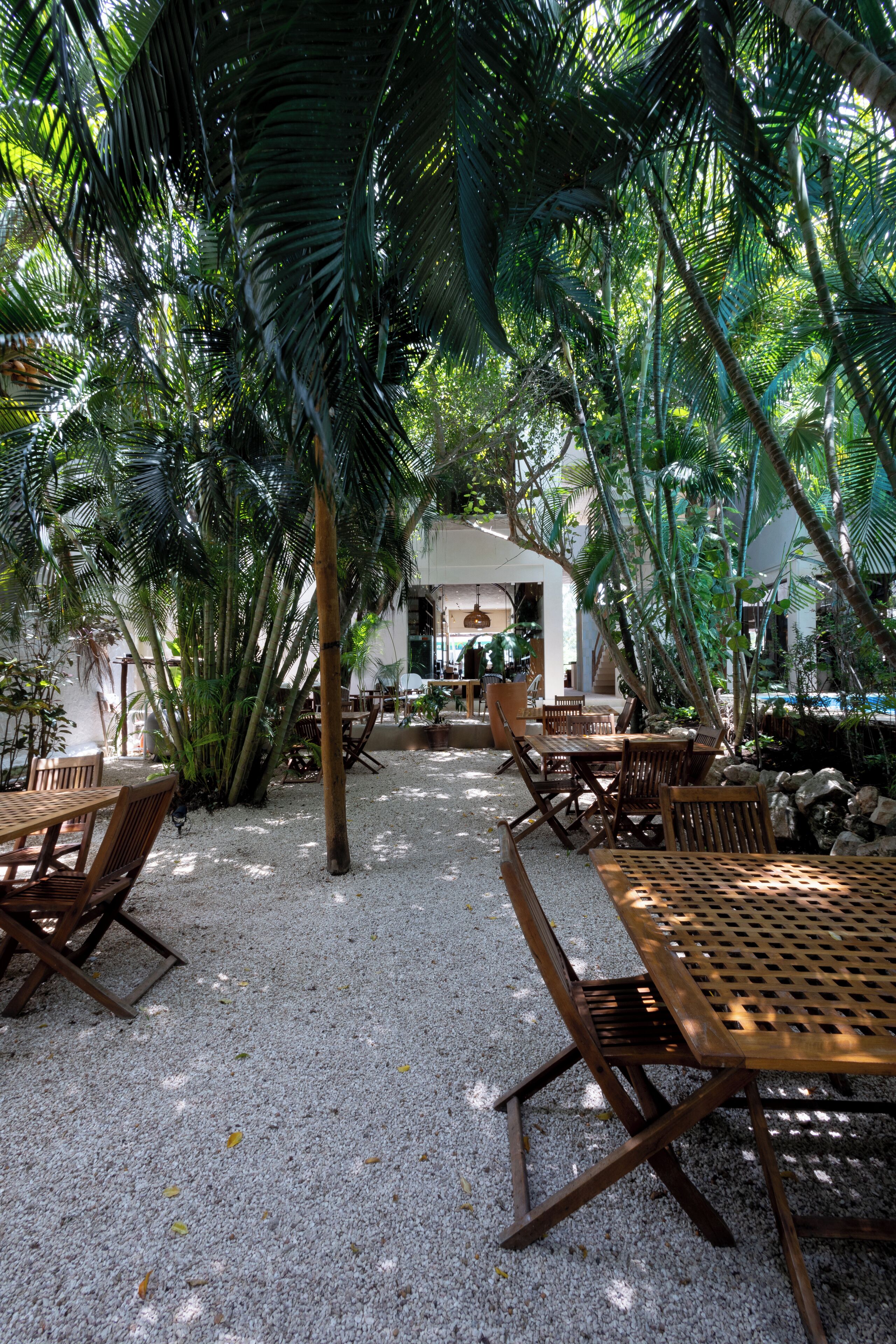 Foto - Hotel Casa Barbara Holbox